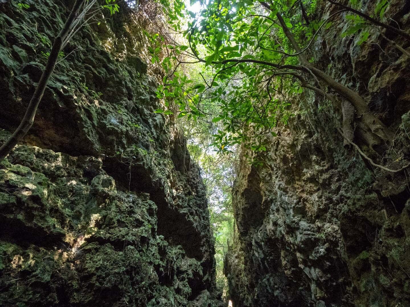 大崗山風景區