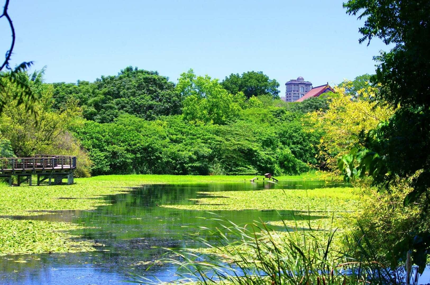 鳥松濕地